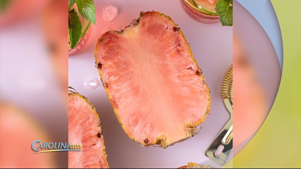 Pinkglow Pineapple 020923