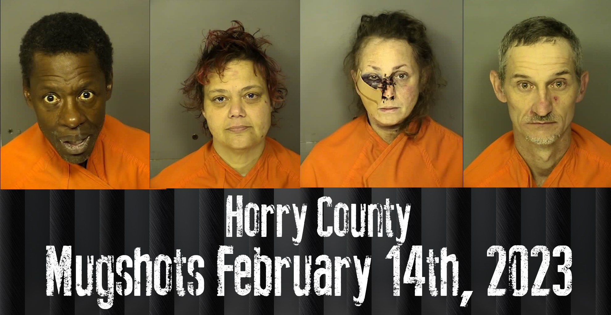 Horry County Mugshots February 14th 2023 Wfxb