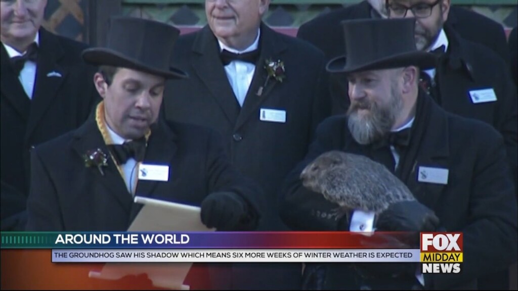 Groundhog