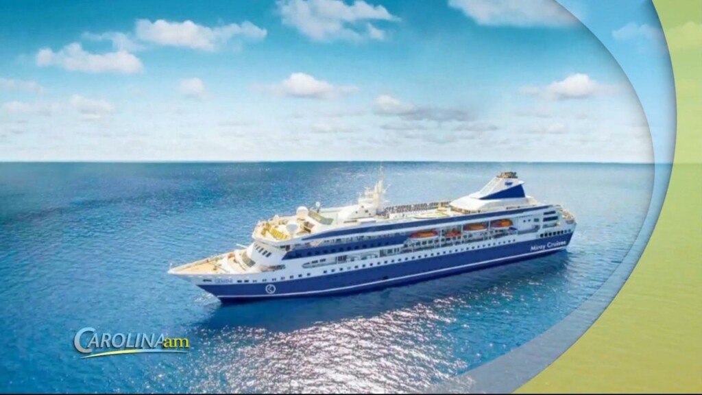 Cruise