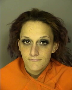 Bayless Taylor Paige Poss Of Narc In Schedule Ibclsd Schedule Ii Poss Of Other Controlled Sub In Sched I To V Manf Dist Etc Ice Crank Crackcocaine