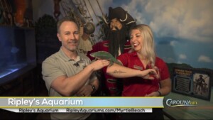 Cam 0324 Ripley's Aquarium