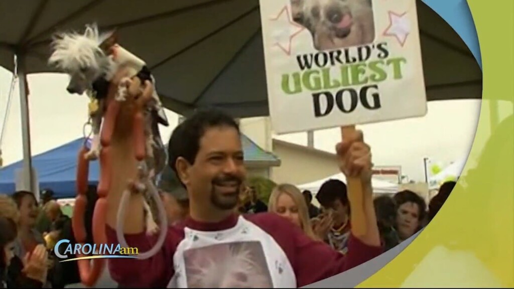 Cam 0307 Ugly Dog