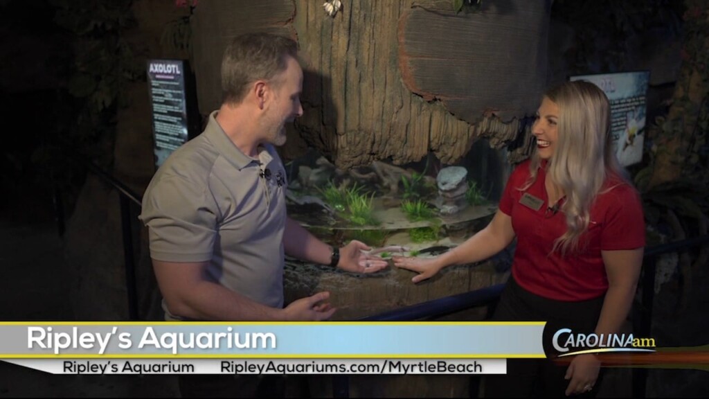 Ripley's Aquarium 031023