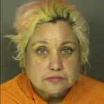 Mccarthy Meredith Joy Driving Under The Influence