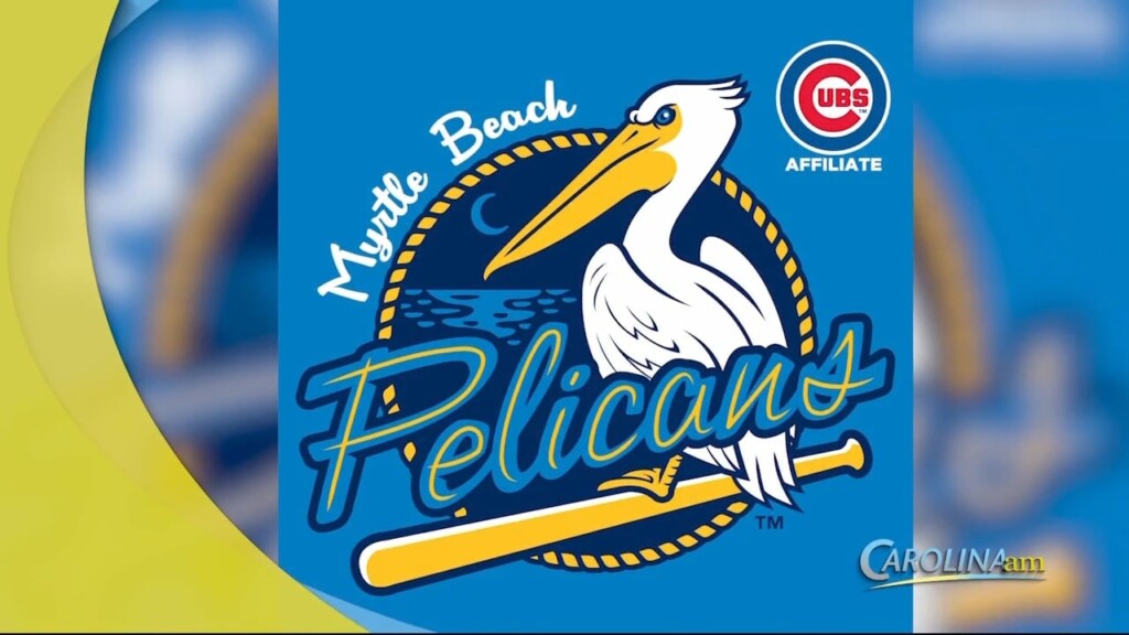 Cam 0419 Pelicans