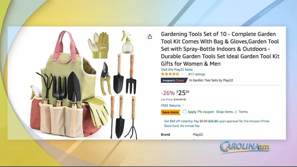 Cam 0410 Amazon