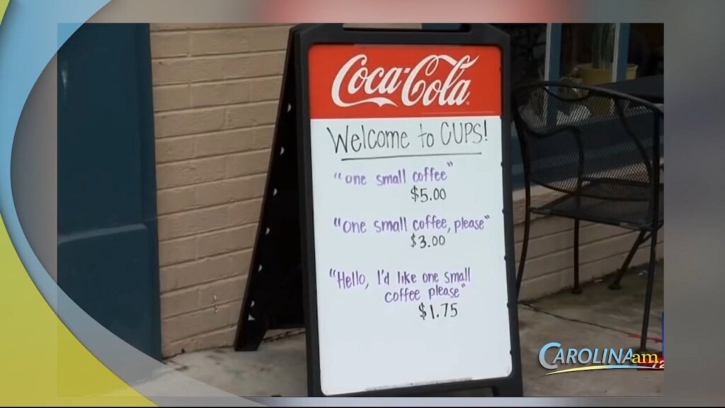 Cam 0419 Carolina Kindness