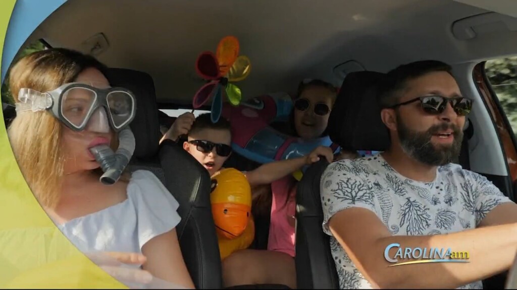 Cam 0418 Vaca