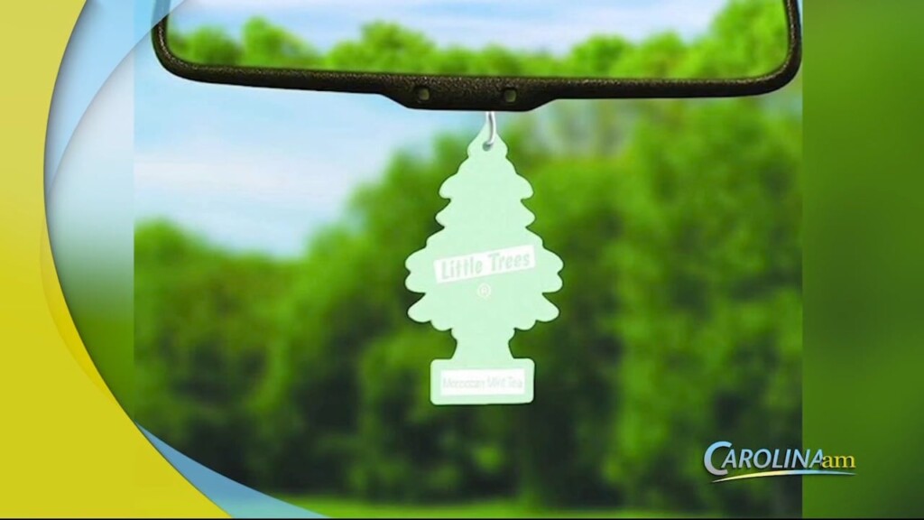 Cam 0407 Air Freshner
