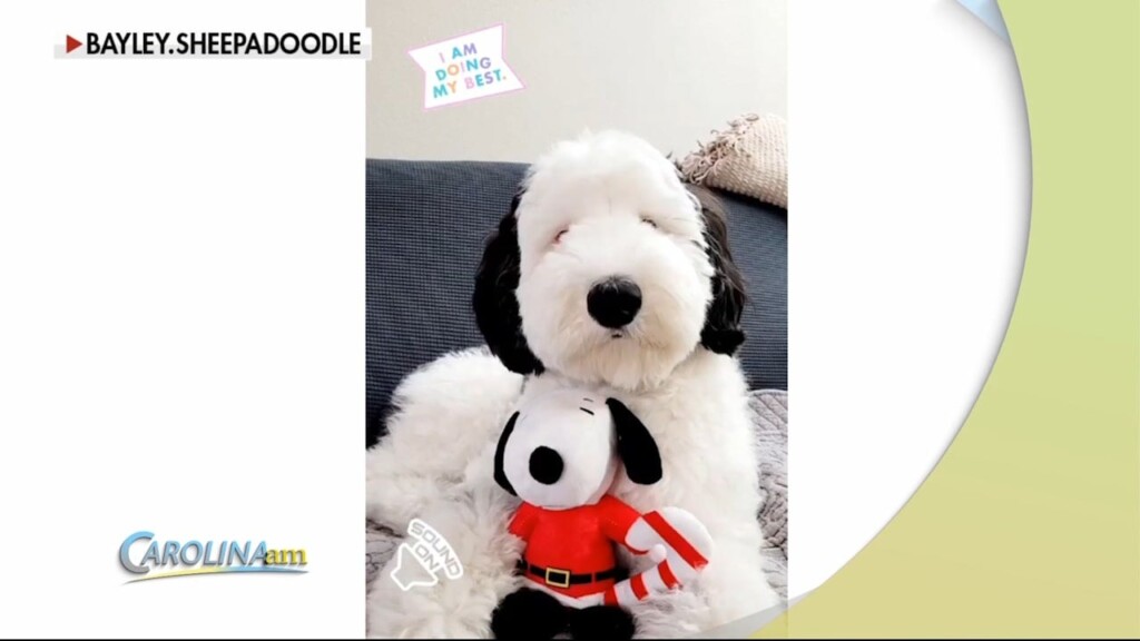 Snoopy