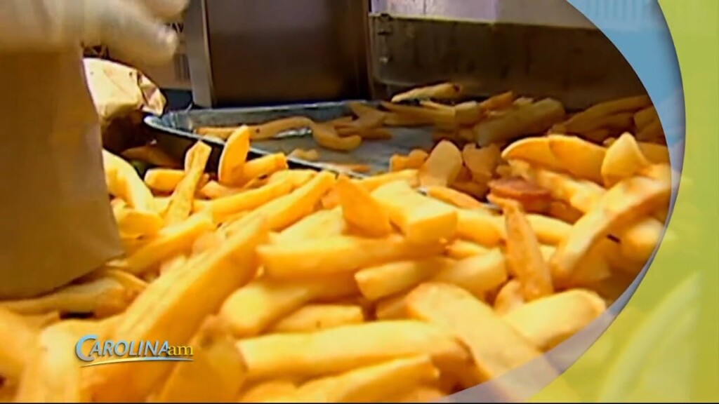 Fried Foods