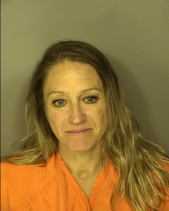 Jones Danielle Elizabeth Domestic Violence 3rd Degree