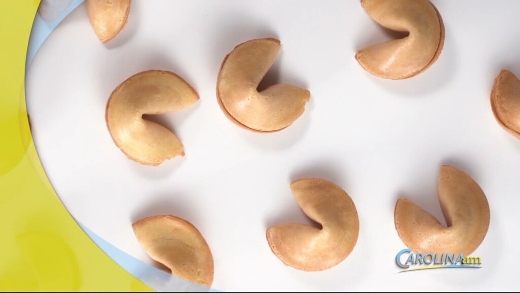 Cam 0417 Fortune