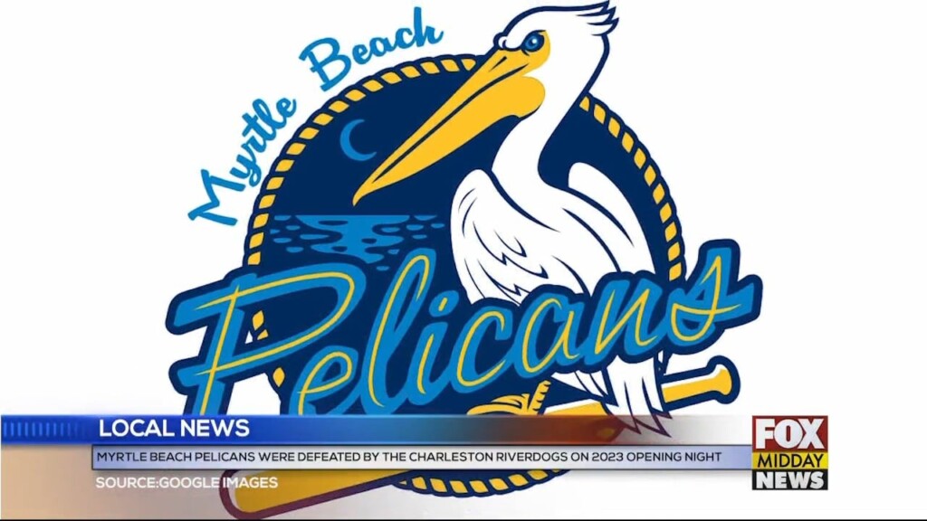 Pelicans