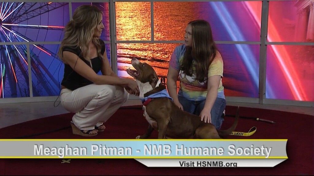 Cam 0413 Nmb Humane Society