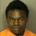 Chestnut Sincere Armonz Public Disorderlypublic Intoxication Failure To Appear