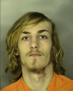 Pate Julian Elijah Failure To Stop For A Blue Light No Injury Or Death