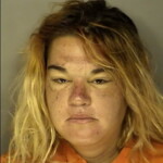Vera Brittany Nicole Contempt Of Magistrates Court Breach Of Peace Petit Or Simple Larceny Under 2000