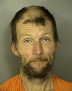 Williamson Christopher Dean Petit Or Simple Larceny Under 2000 Pedestrians On Highways
