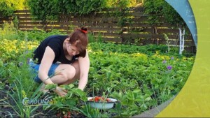 Garden Day