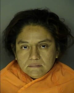 Martinez Vianey Alcohol Open Container Of Beer Or Wine In Motor Vehicle Felony Driving Under The Influence Death Results Driving Without A License