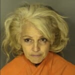 Callan Cynthia Darlene Driving Under Suspension Operating Uninsured Motor Vehicle