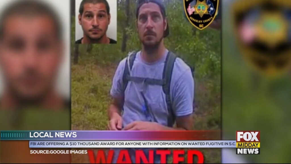 Fugitive