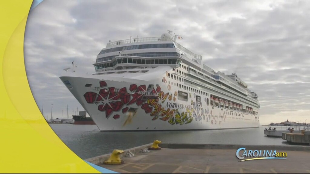Cruises