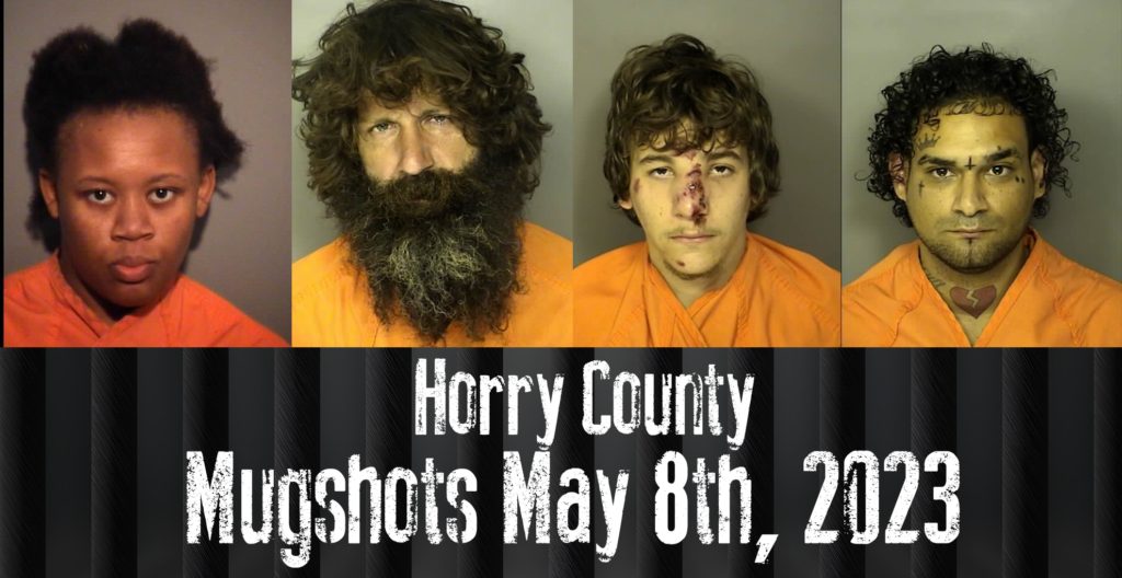 Horry County Mugshots May 8th 2023 Wfxb