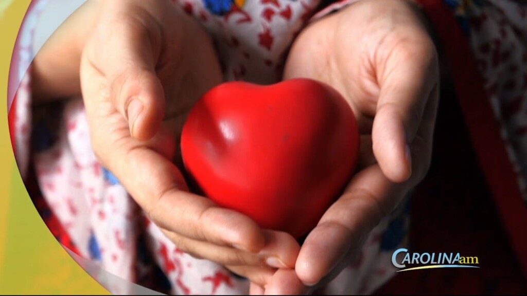 Cam 0503 Heart Signs