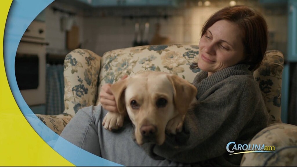 Pet Love