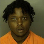 Gary William Lee Poss Marijuana 28g Possession Of Drug Paraphenalia Driving Without A License Poss Of Cocaine 1st Offense
