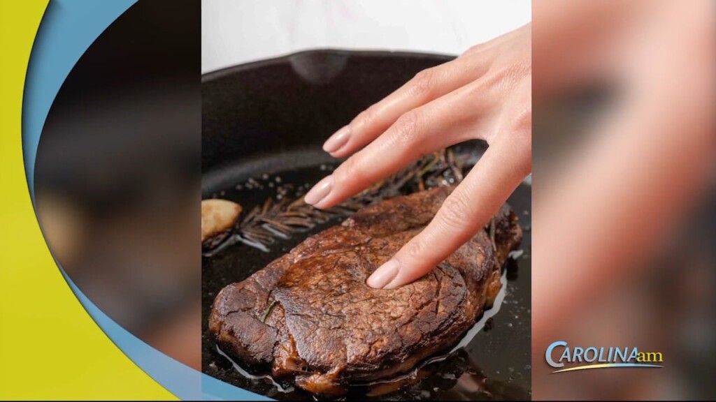 Cam 0613 Meat Test