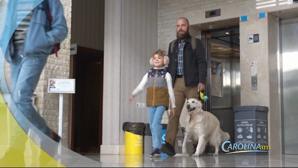 Cam 0623 Pet Travel