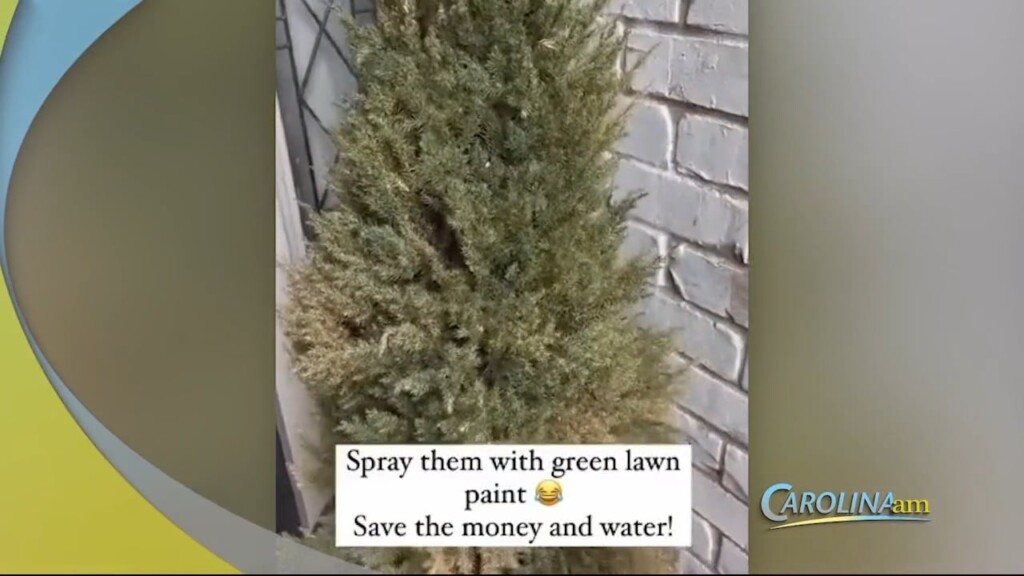 Plant Hack
