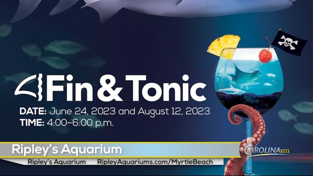Fin And Tonic