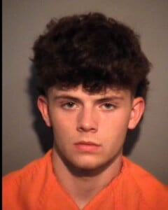 Lilly Ryan Joseph Beer And Wine Purchase Consumption Or Possession By A Minor