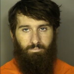 Sims Jamie Lee Petit Or Simple Larceny Under 2000