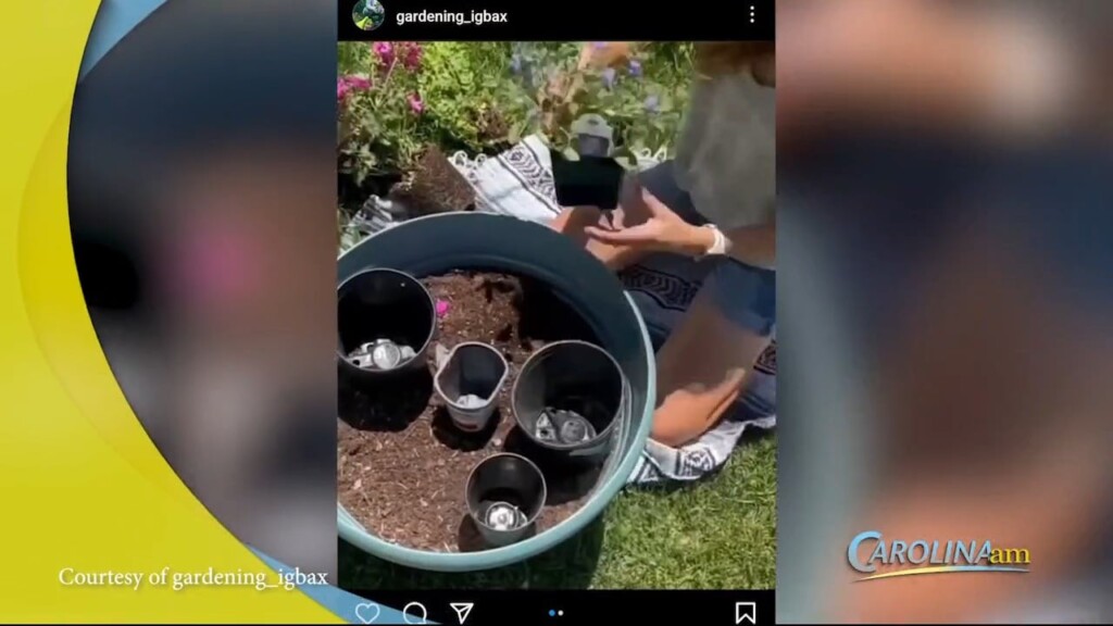 Garden Tips
