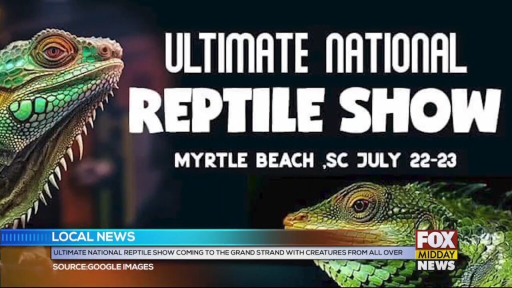 Reptile