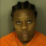 Douglas Erica Renay Shoplifting 10000 Or More Failure To Stop For A Blue Light No Injury Or Death