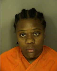 Douglas Erica Renay Shoplifting 10000 Or More Failure To Stop For A Blue Light No Injury Or Death