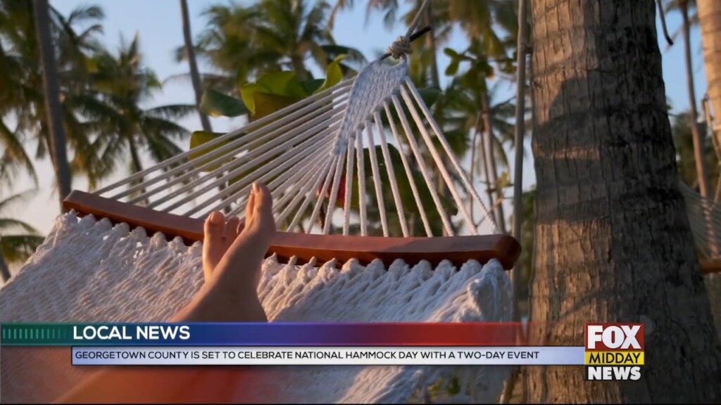 Hammock