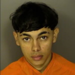 Alvarez Alvarez Lester Fernando Driving Without A License Operating Uninsured Vehicle