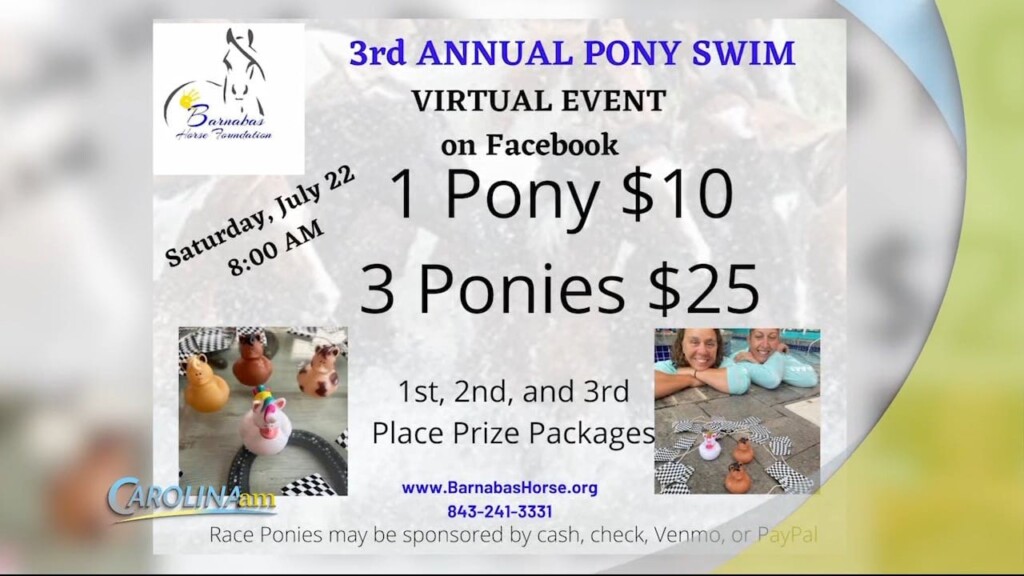 Barnabas Horse Foundation 072023
