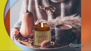 Fall Amazon