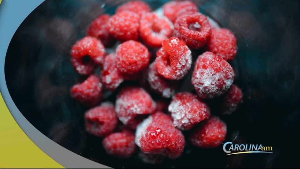 Fresh Or Frozen