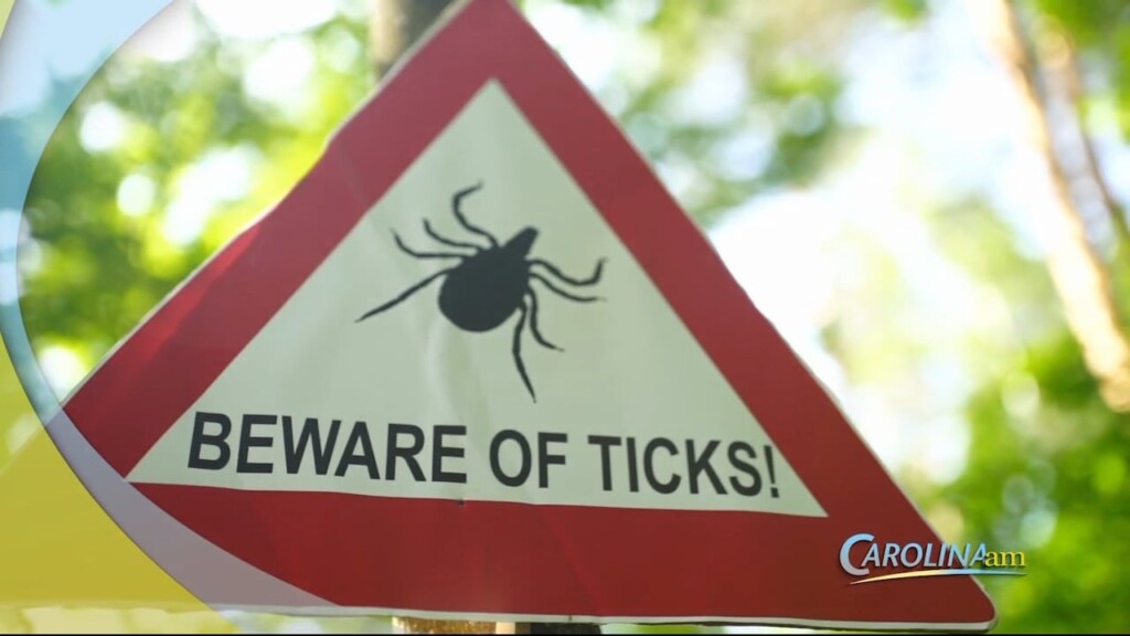 Cam 0821 Ticks