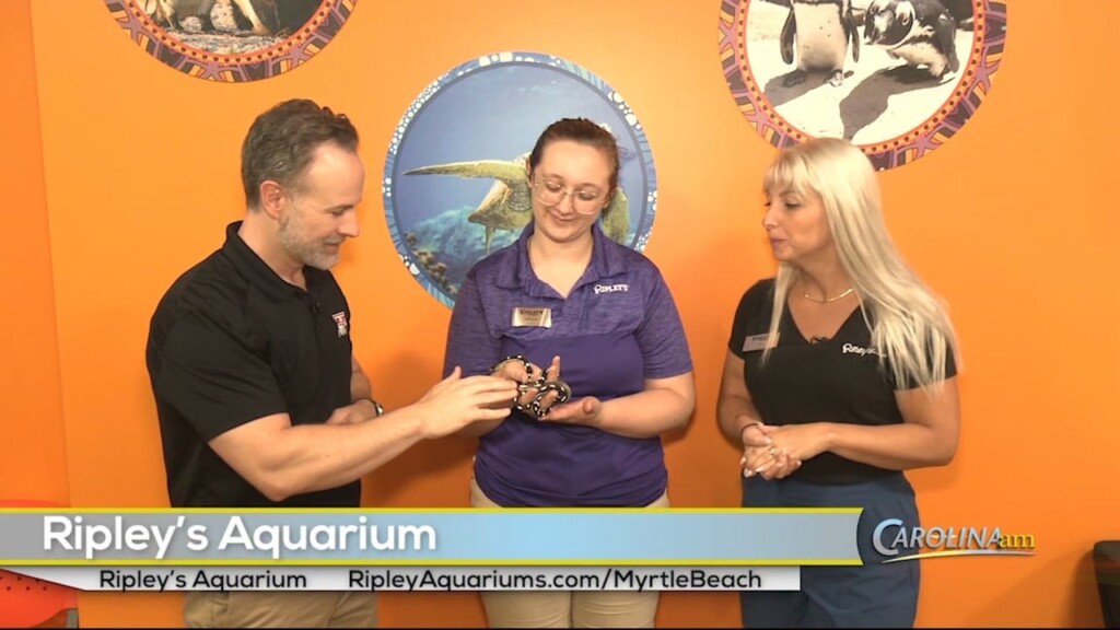 Ripley's Aquarium 080423